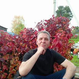 , 50 , 
