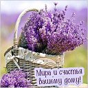 ���� ����, �����-��������� - ��������� 14 ��� 2026 � ������ ������ ��������