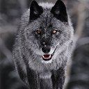 ���� �����, ���������, 61 ��� - ��������� 25 ��� 2024 � ������ ���� ����������