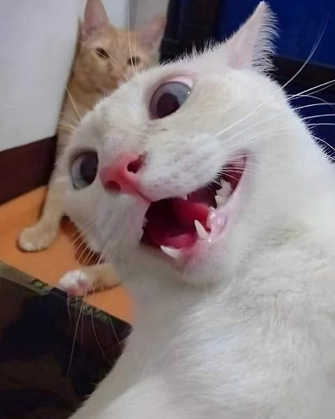    - 8