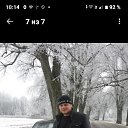 ���� ������, �����������, 38 ��� - ��������� 10 ����� 2024 � ������ ���� ����������