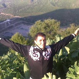 , 33,  