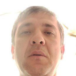 ���������, �������, 48 ���