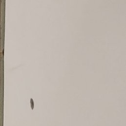 Steve, ������, 35 ���