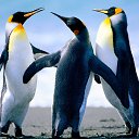 ���� �������, �������� - ��������� 9 ������ 2024 � ������ ���� ����������