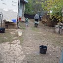 ���� �����, �����, 34 ���� - ��������� 21 ������ 2023 � ������ ���� ����������