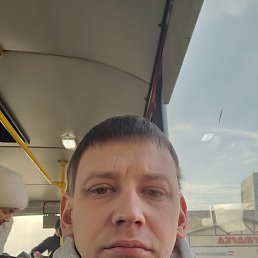 , 41,  