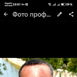 , 43, 