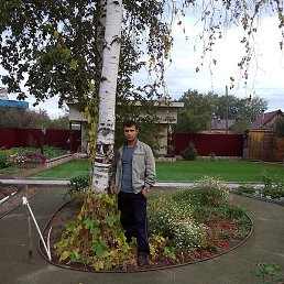 ������, ����, 44 ����