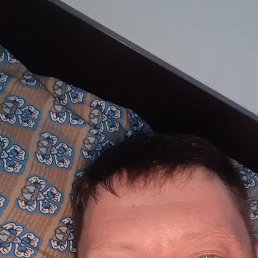, 41 ,  