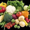  ,  , 53  -  19  2024    