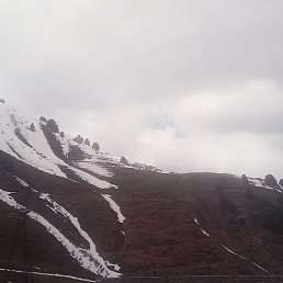 Sher, �����, 27 ���