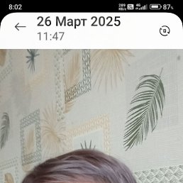 , 54, 