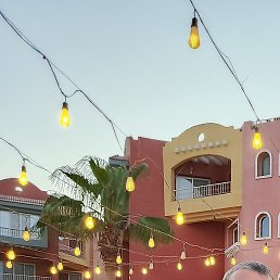 ������, ������ ��������, 46 ���