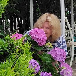 �����, ����������, 54 ����