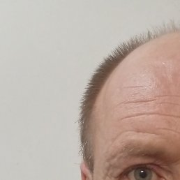 ������, ��������, 43 ����