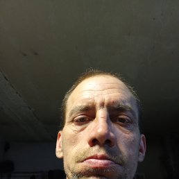 ���� ������ ���������, ����������, 43 ���� - ��������� 22 ������� 2026