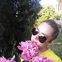 ���� ����, ������, 33 ���� - ��������� 1 ���� 2026 � ������ ���� ����������