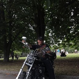 �������, �����������, 41 ���