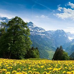 �����, ���������, 41 ���