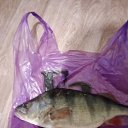 ���� ������, ������, 37 ��� - ��������� 16 ����� 2024 � ������ ���� ����������