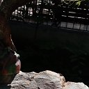 ���� �������, ������-��-����, 67 ��� - ��������� 31 ��� 2026