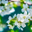 ���� ������, ������ - ��������� 5 ������ 2026 � ������ ������ ��������