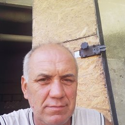 , 52, 