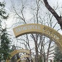 ���� �����, ����, 45 ��� - ��������� 29 ������ 2025 � ������ ���� ����������