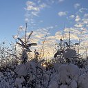 ���� ������, �����-��������� - ��������� 15 ������� 2026 � ������ ������ ��������
