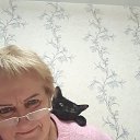 ���� �����, ���������, 62 ���� - ��������� 17 ������� 2026 � ������ ���� ����������