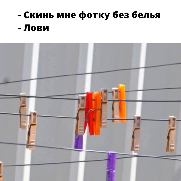   - 26  2025  03:41