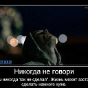 ���� ����, ���������, 38 ��� - ��������� 6 ������ 2024 � ������ ���� ����������
