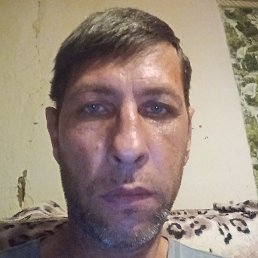 ����, ������, 45 ���