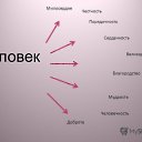     , , 54  -  7  2024    