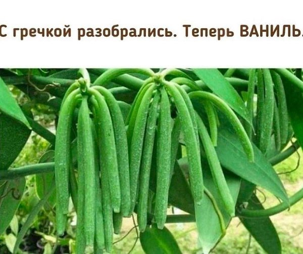 Te�ep� �� ��ae�e �ce! - 4