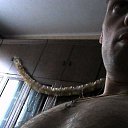 ���� ��������, ����, 35 ��� - ��������� 3 ������� 2025 � ������ ���� ����������