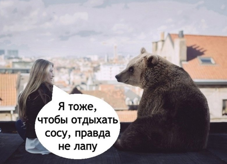  - 18  2025  12:09 - 2