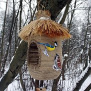 �������, 29 ���, ���