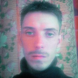 ������, �����������, 41 ���