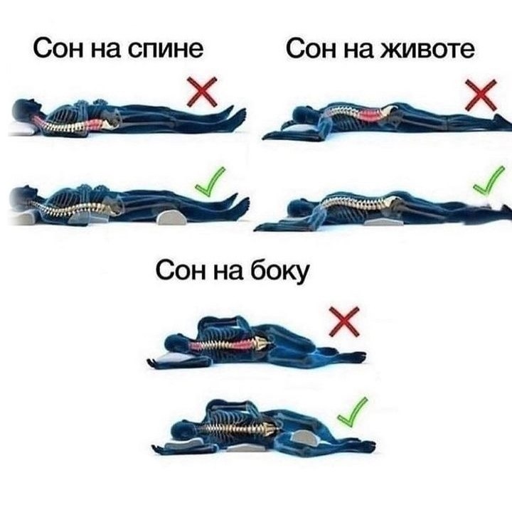����� ���� ���� �����