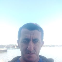 , 41, 