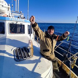 ������, ����, 31 ���