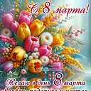 ���� S.a.v.a, ������ - ��������� 7 ����� 2026 � ������ ������ ��������