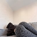 ���� �����, ������, 26 ��� - ��������� 10 ������ 2026 � ������ ���� ����������