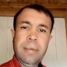 ������ ���������, ������, 43 ����