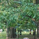 ���� ����, ���������, 53 ���� - ��������� 30 ���� 2025 � ������ ���� ����������