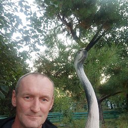 , 47, 