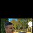 ���� Dorin, �������, 23 ���� - ��������� 14 ������ 2026