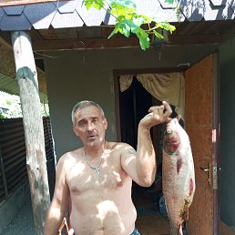 , 46 , 